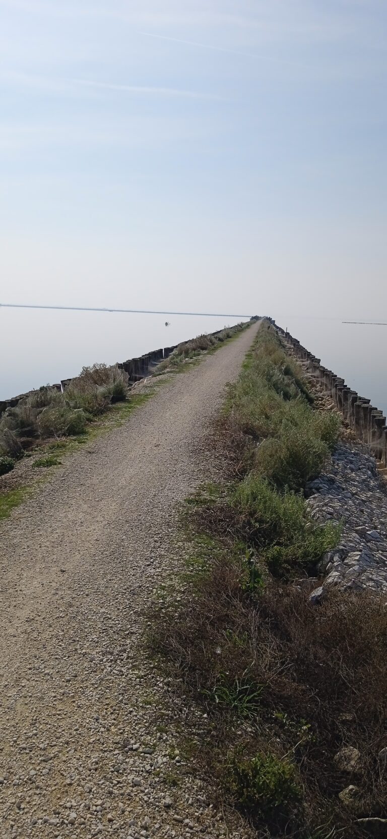 Dimenticarsi della fatica