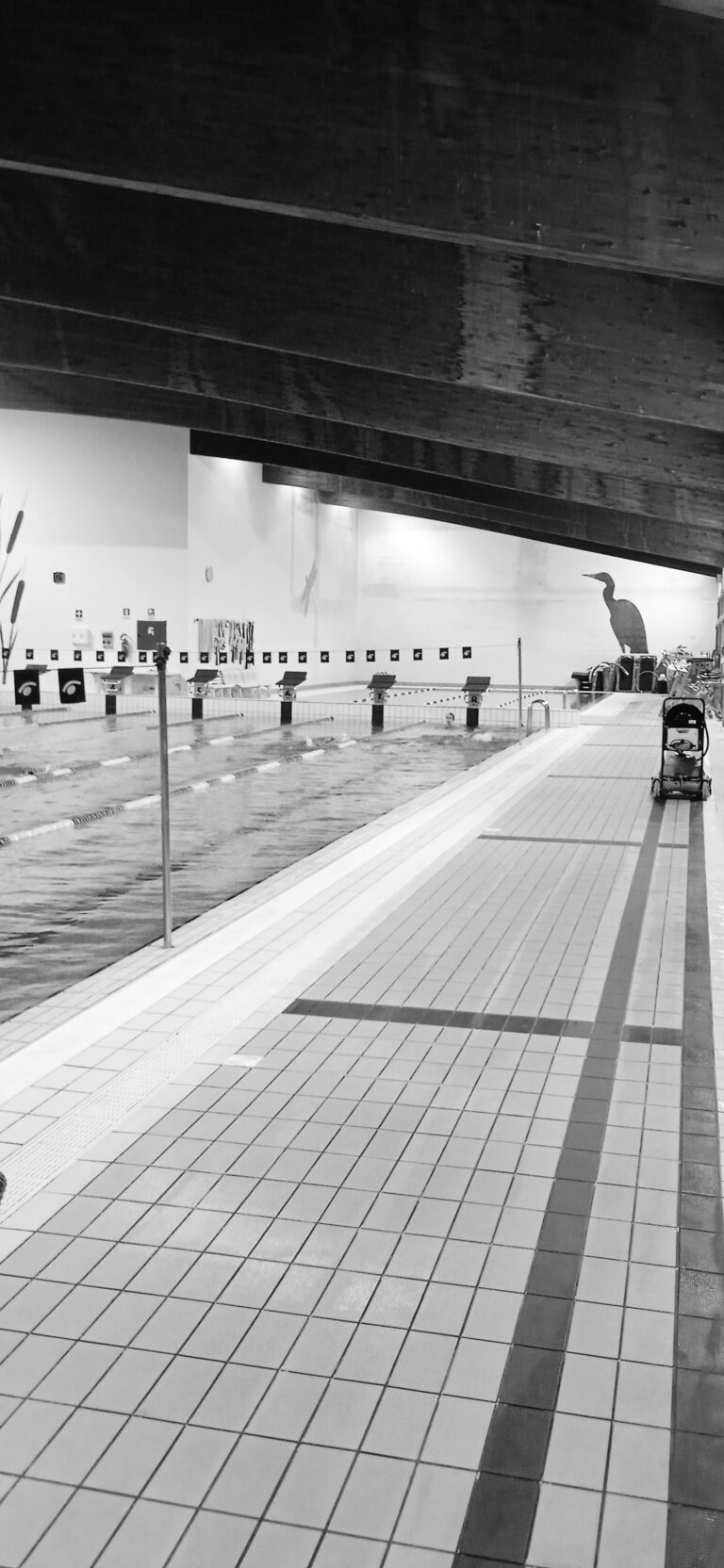 𝐈𝐥 𝐩𝐫𝐢𝐦𝐨 𝐩𝐚𝐬𝐬𝐨 (𝐥𝐚 𝐩𝐫𝐢𝐦𝐚 𝐛𝐫𝐚𝐜𝐜𝐢𝐚𝐭𝐚) è 𝐜𝐢ò 𝐜𝐡𝐞 𝐜𝐨𝐧𝐭𝐚